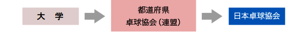 日卓協登録の流れ